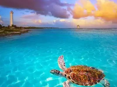 Scenic view of Akumal, Riviera Maya - ideal destination for your private transfer