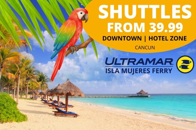 website/home.passenger_van_alt